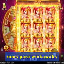 roms para winkawaks