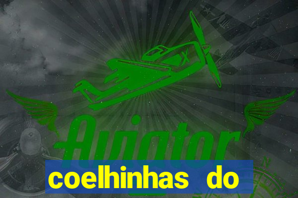 coelhinhas do brasil jp