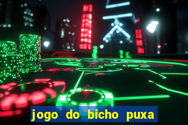 jogo do bicho puxa de dona maria