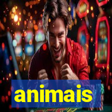 animais-pg.com