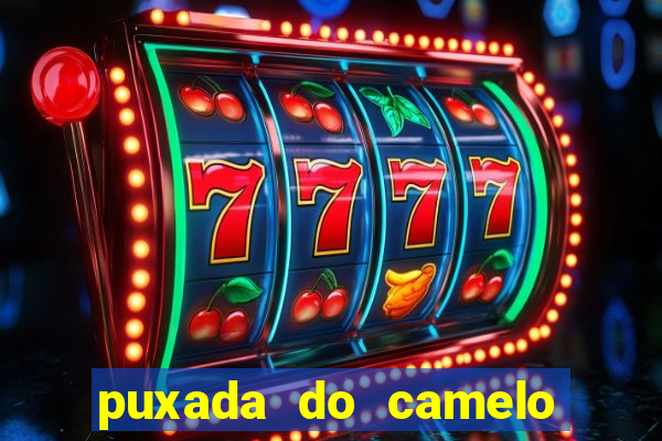 puxada do camelo no jogo do bicho