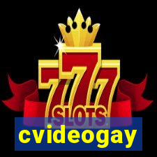 cvideogay