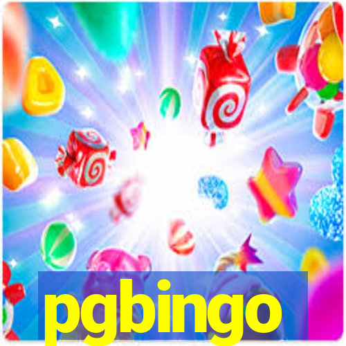 pgbingo