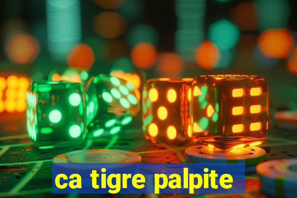 ca tigre palpite