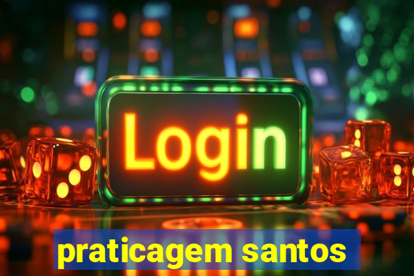 praticagem santos